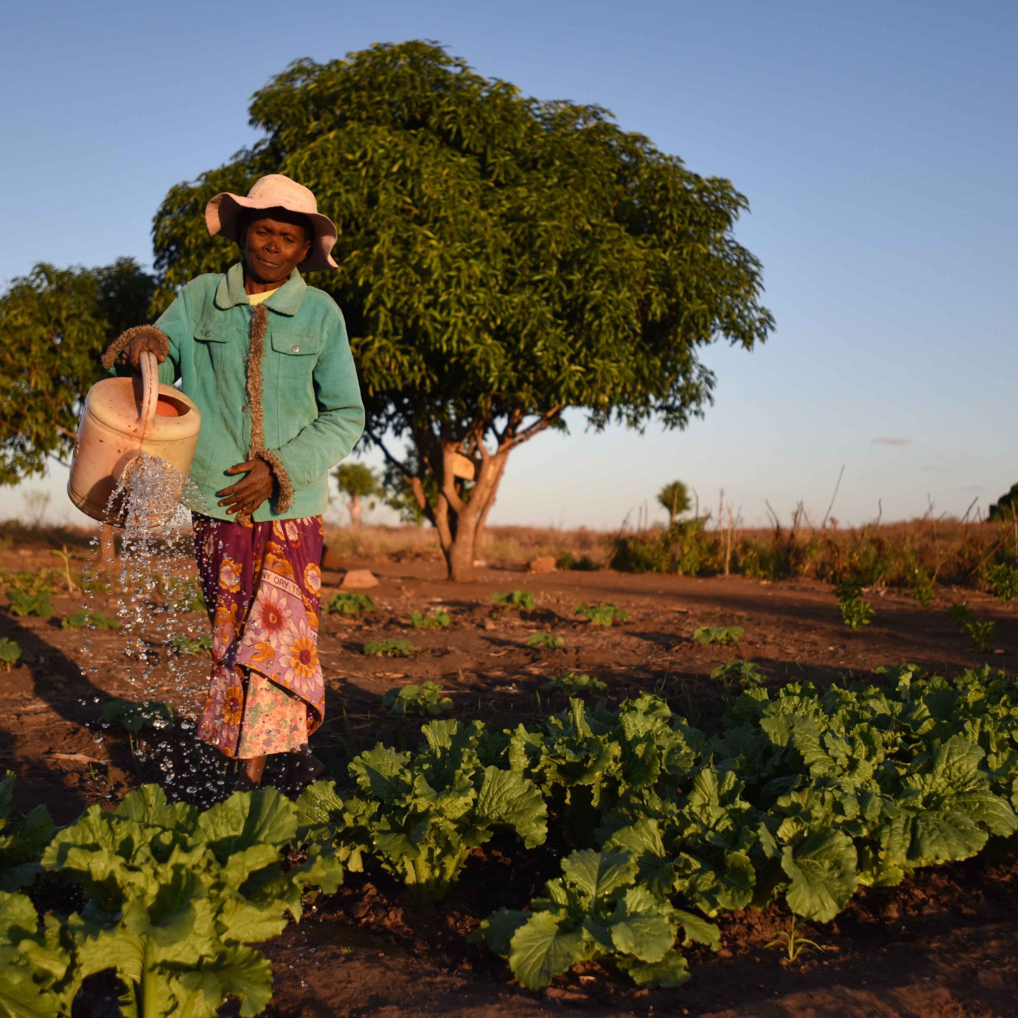 Your Impact Landing Page - Livelihoods